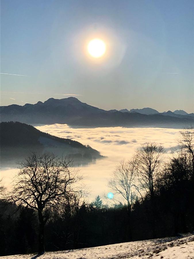 Fewo Atterseeperle - 80M2 Mit See- Und Gebirgsblick Steinbach am Attersee Exterior foto