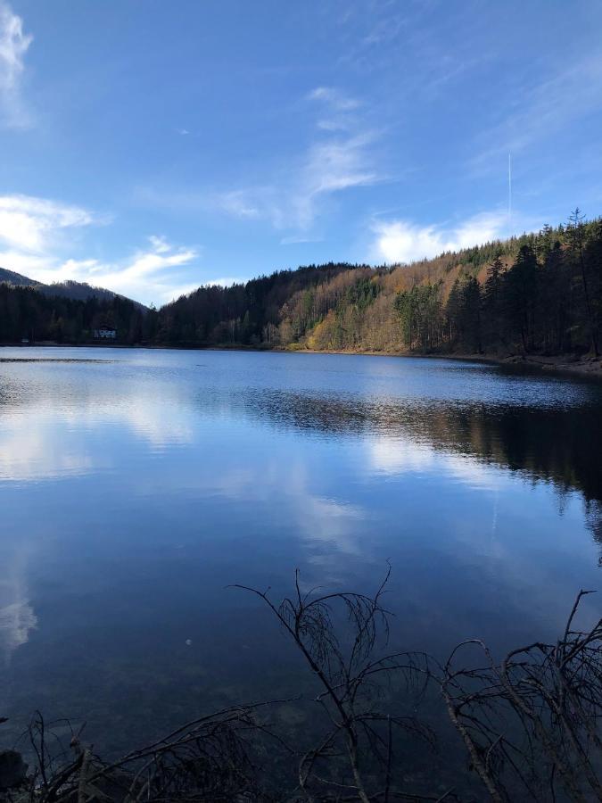 Fewo Atterseeperle - 80M2 Mit See- Und Gebirgsblick Steinbach am Attersee Exterior foto