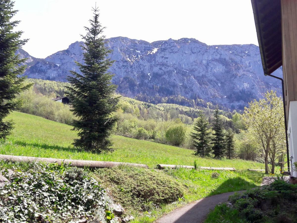 Fewo Atterseeperle - 80M2 Mit See- Und Gebirgsblick Steinbach am Attersee Exterior foto